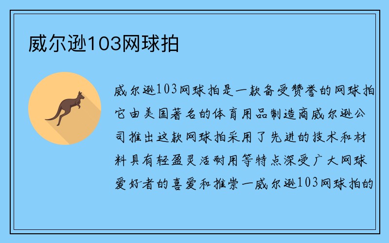 威尔逊103网球拍